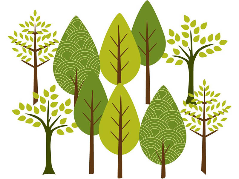 Tu B’Shevat Seder: What Trees Can Teach Us about Resiliency in the Age of COVID