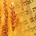 Tikkun Leil Shavuot & Dinner