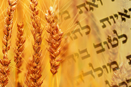 Tikkun Leil Shavuot & Dinner